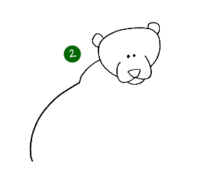 een beer tekenen - stap 2