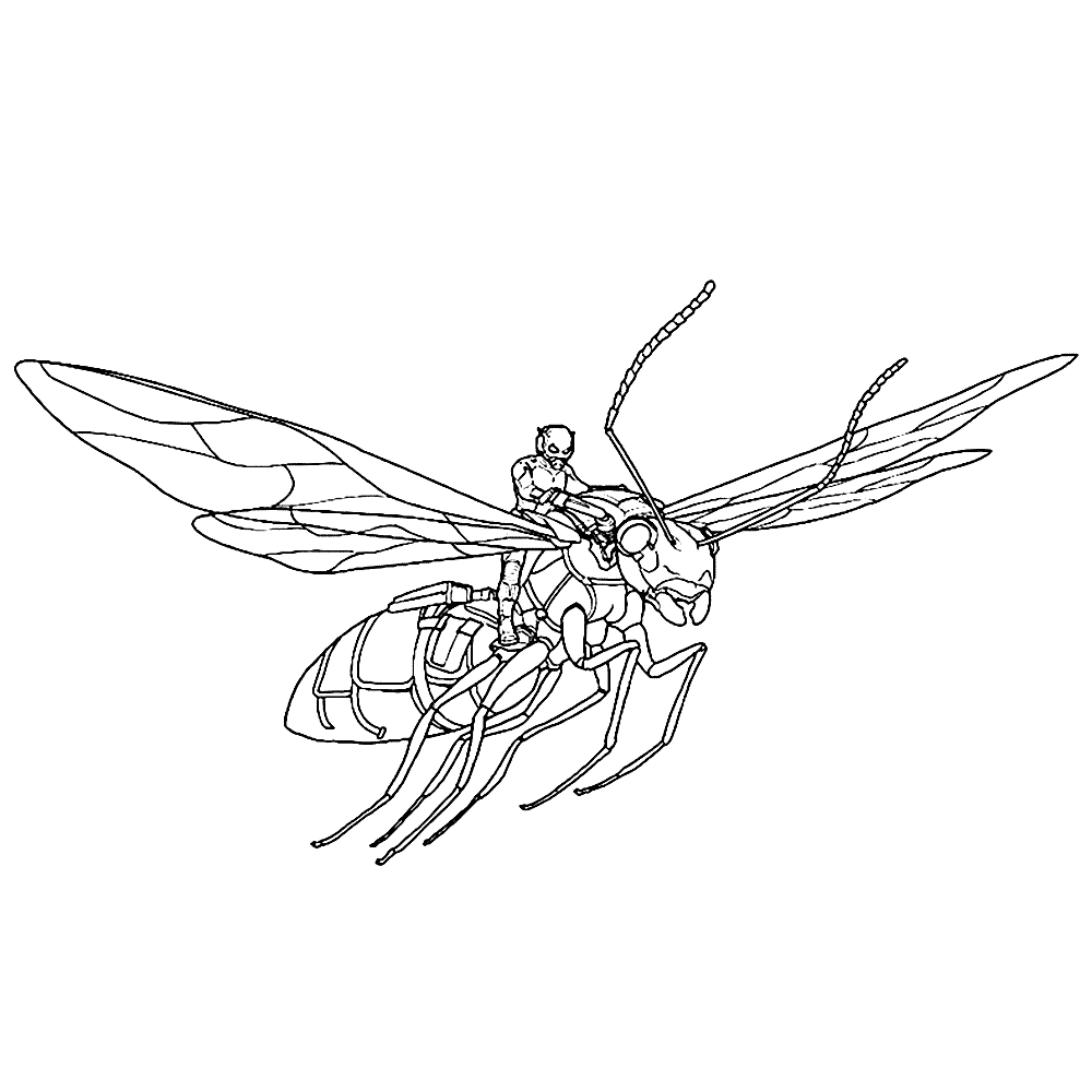 bekijk Ant-Man op een vliegende mier kleurplaat