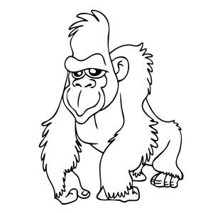 Gorilla