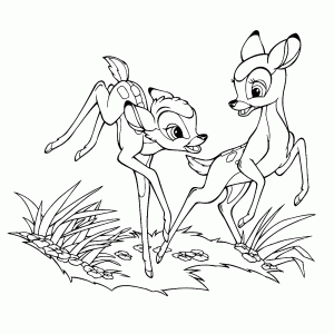 Bambi & Feline