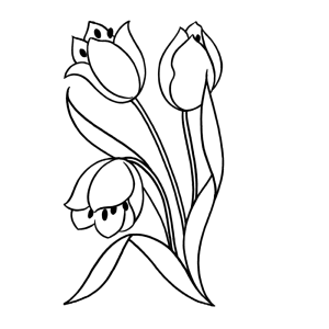 Tulpen