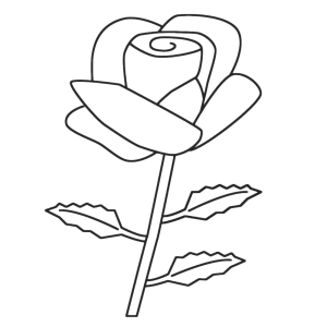 Een roos