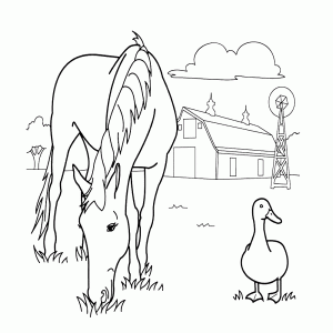 Een paard en een eend in het gras