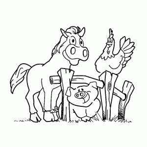 Een paard, varkentje en kip bij een boerenhek