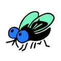 Insecten en kleine beestjes kleurplaten