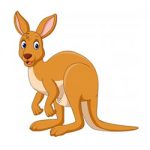 Kangaroes kleurplaat