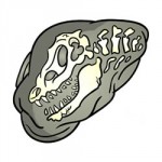 Fossielen en dinoskeletten kleurplaat