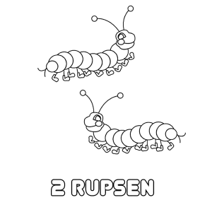 2 rupsen