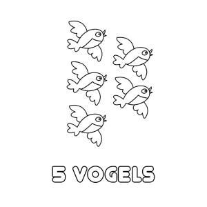 5 vogels