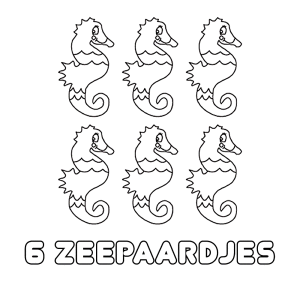 6 zeepaardjes