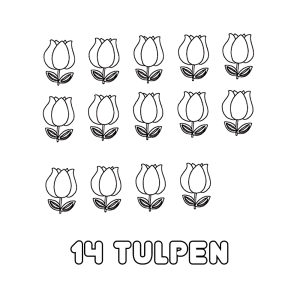 14 tulpen