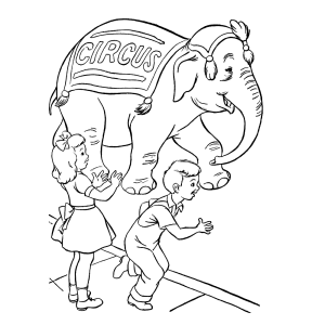 De olifant van het circus