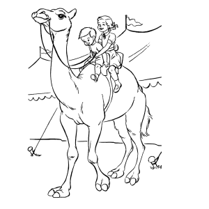 Rijden op de kameel
