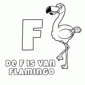 De F is van Flamingo