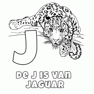 De J is van Jaguar