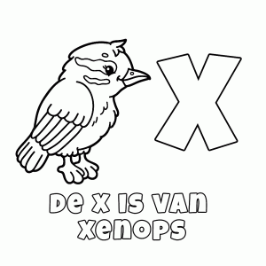 De X is van Xenops (een soort zangvogeltje)