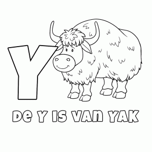 De Y is van Yak