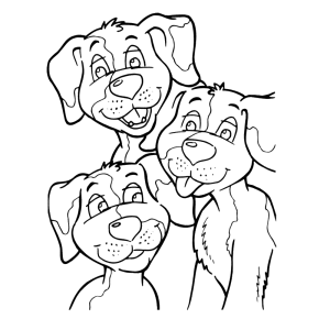 Three happy dogs