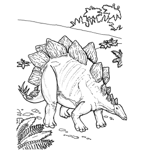 Stegosaurus