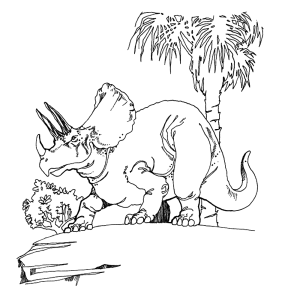 Triceratops