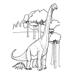 Brontosaurus