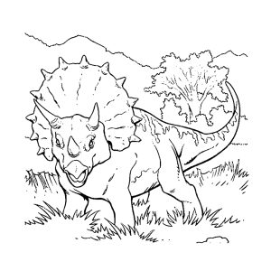 Triceratops