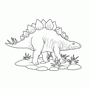 Stegosaurus