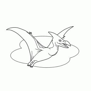 Pteranodon   vliegende dino