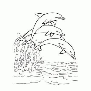Drie dolfijnen springen op uit de zee