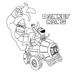Diddy en Donkey Kong op pad