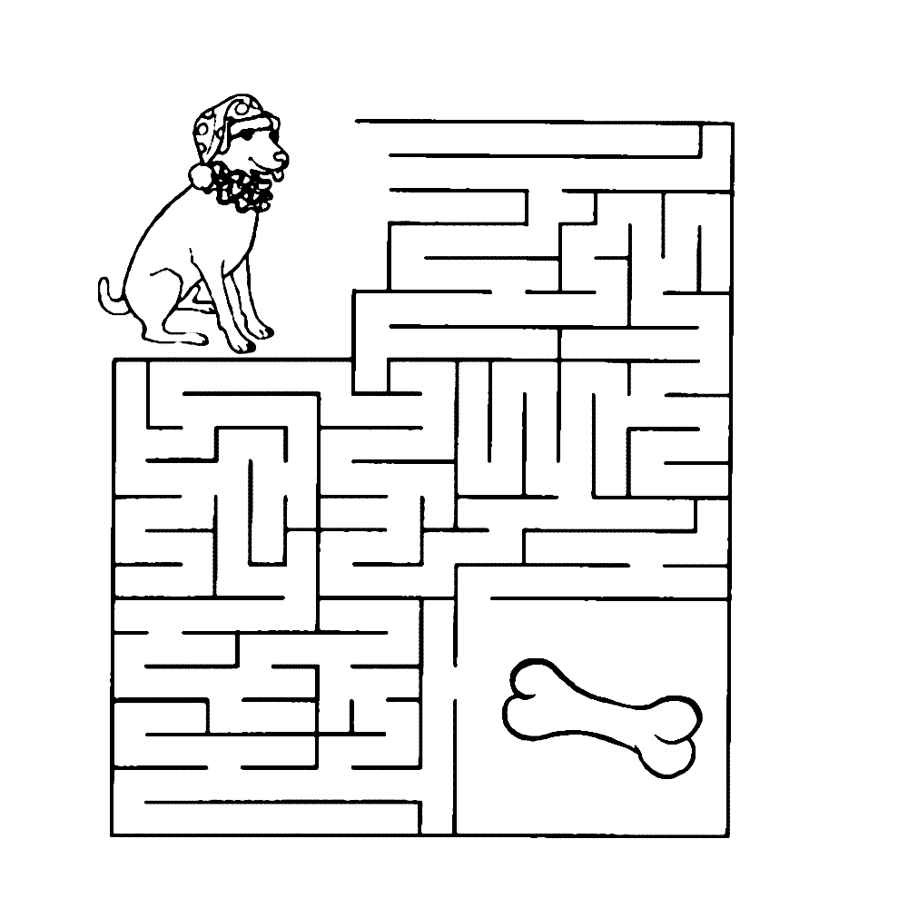 Het hondje wil een bot. Welke weg moet hij lopen?