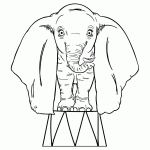 Dumbo met zijn pluisje
