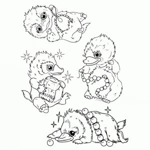 Baby nifflers