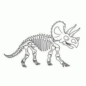 Triceratops