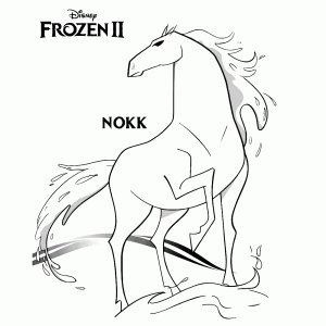 Frozen     Nokk