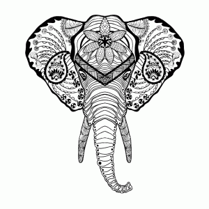 olifant