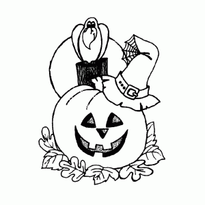 Halloweenpumpkin and a crow