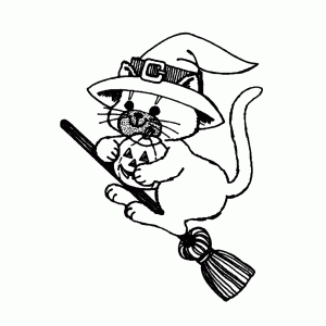 A cute kitten on a broom stick