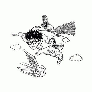 Harry grabs the golden snitch