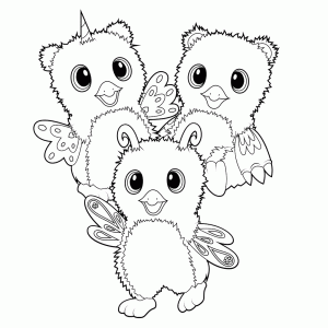 Burtle, Bearakeet & Owlicorn