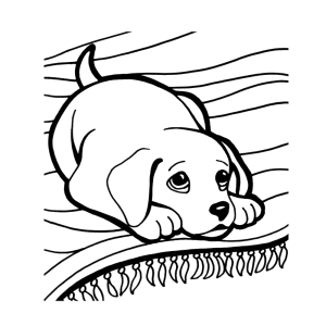 Puppy op een vloerkleed