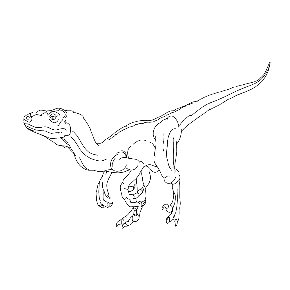 bekijk Velociraptor kleurplaat
