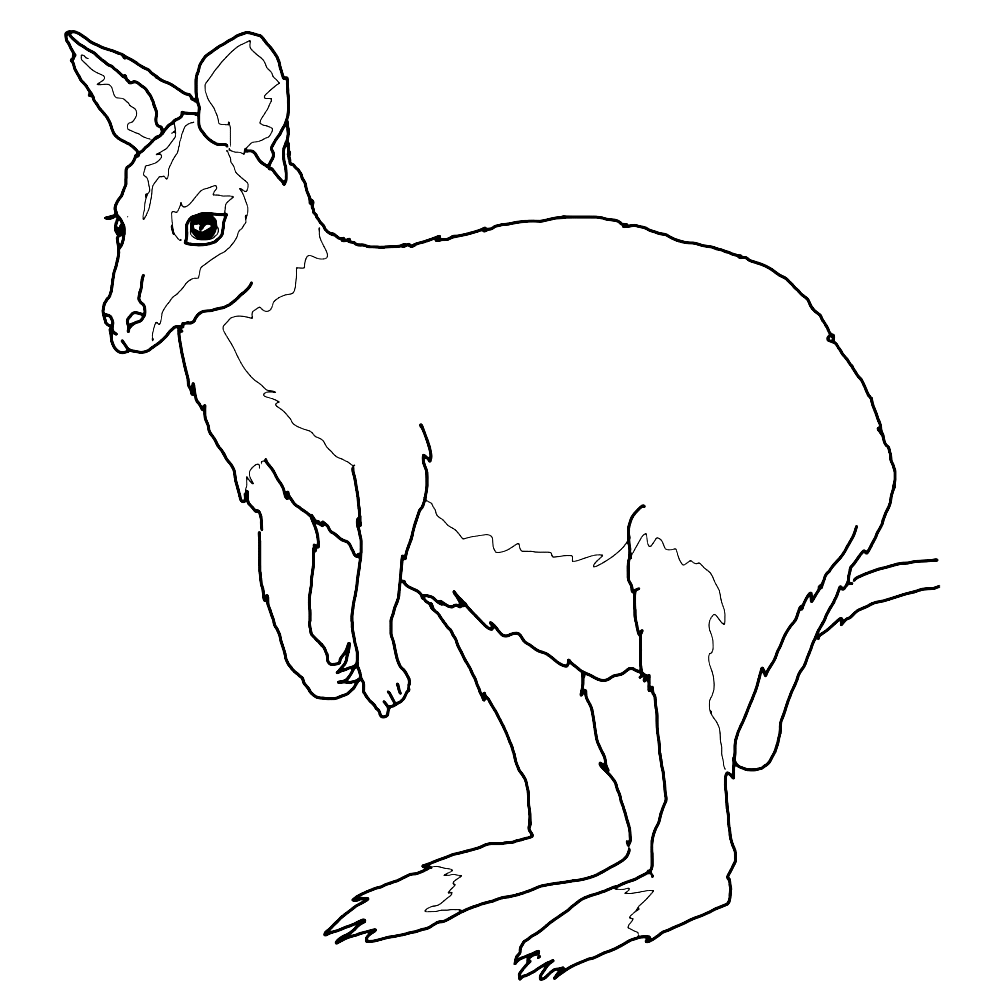 bekijk Een wallaby is een kleine kangaroe kleurplaat