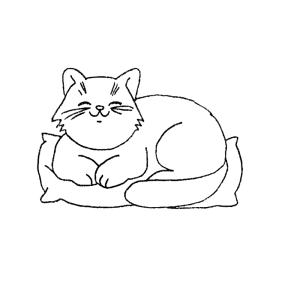 Kat ligt op een kussen