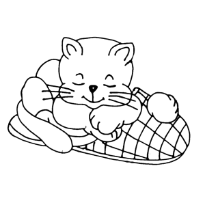 Een kitten op een pantoffel