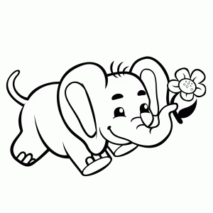Jong olifantje met een bloem