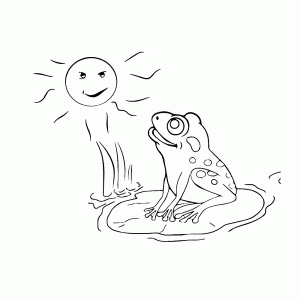This frog enjoys the sunshine