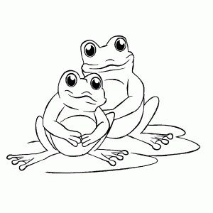 Two frogs on a leaf