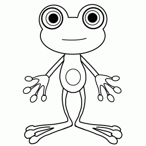 Happy tree frog