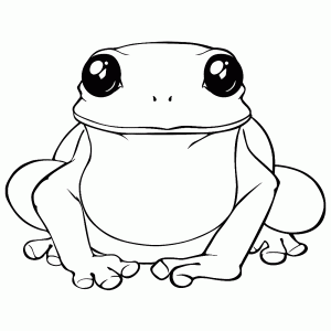 Fat toad